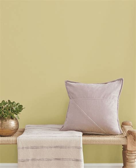 19 44Palms Paint colors ideas .